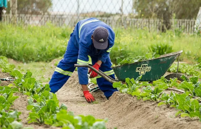 Agriculture